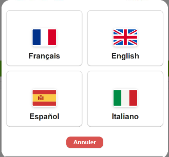 Interface de sélection de langue avec drapeaux